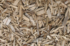 biomass boilers Teviothead